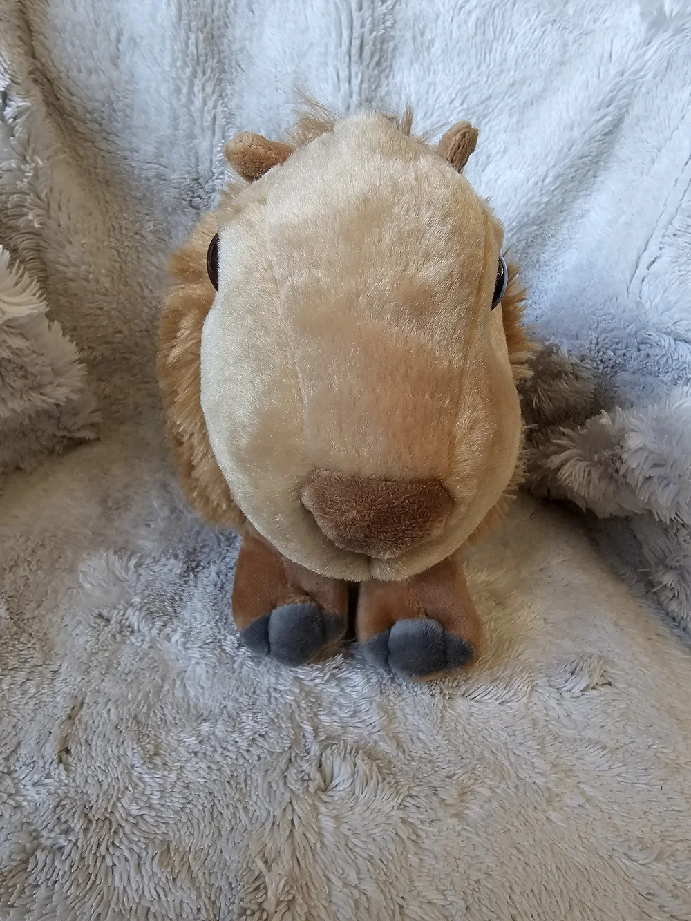 Wild Republic Cuddlekins Capybara Stuffed Animal 12
